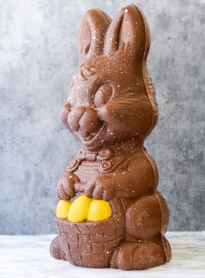Giant Chocolate Rabbit