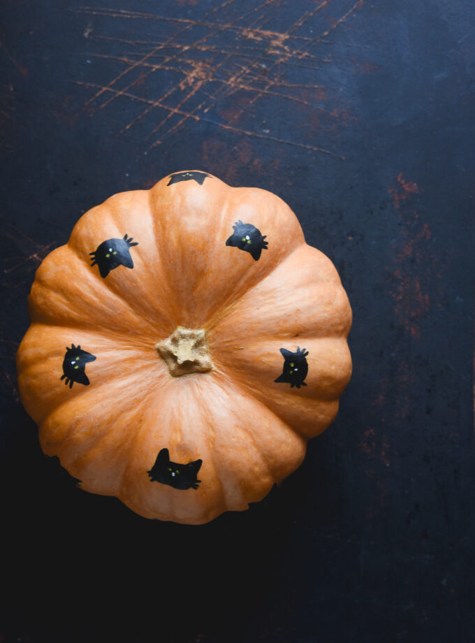 Cat Hand-Painted Pumpkin