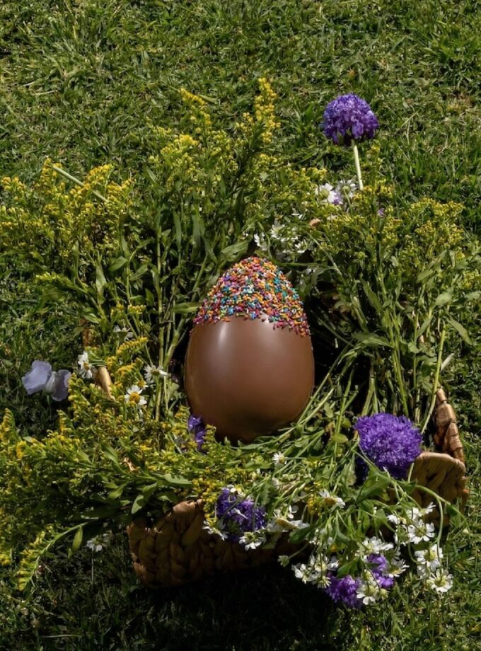 Limited Edition Kids Egg